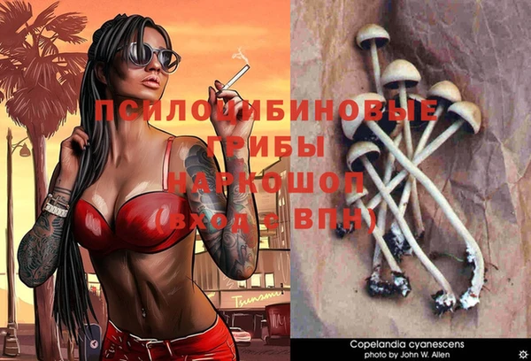 mdma Вязьма