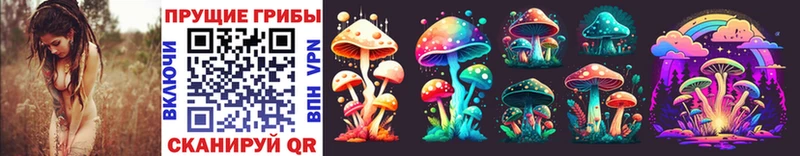 Галлюциногенные грибы Cubensis Ирбит